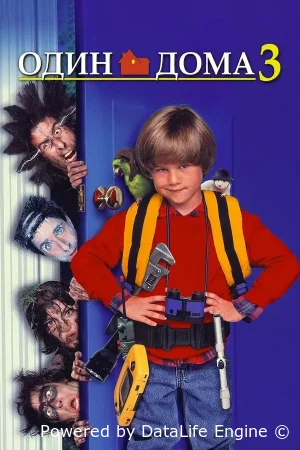 Один дома 3