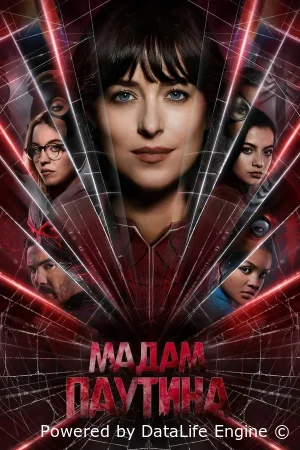 Мадам Паутина