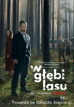 В густом лесу